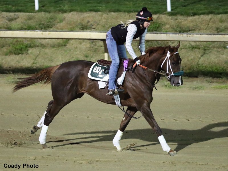 Why Secret Oath Can Be A Surprise Contender For The Preakness Stakes